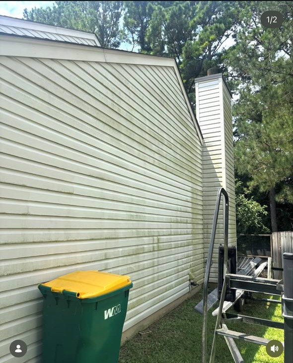 Algae-covered siding before Top Tier Exteriors